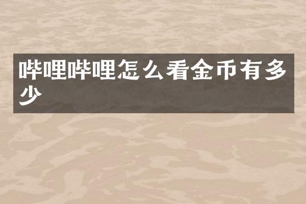 哔哩哔哩怎么看金币有多少