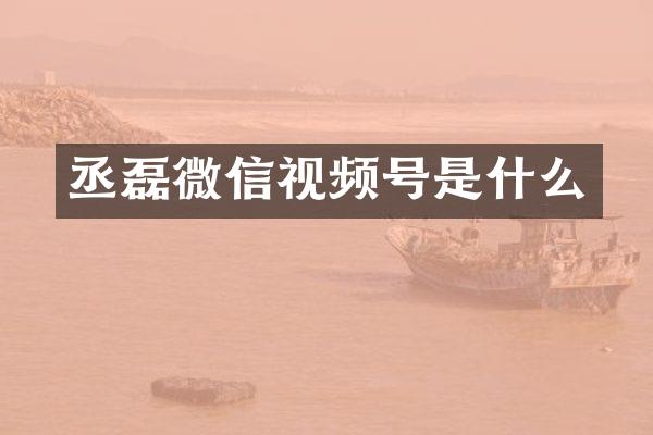 丞磊微信视频号是什么