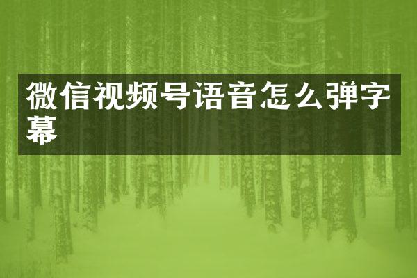 微信视频号语音怎么弹字幕