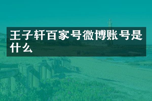 王子轩百家号微博账号是什么