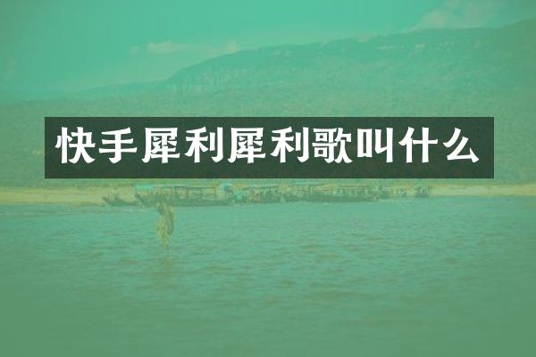 快手犀利犀利歌叫什么