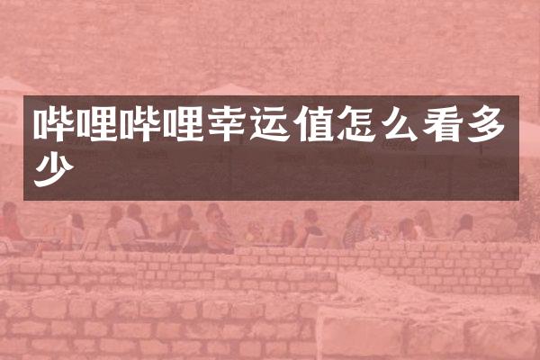 哔哩哔哩幸运值怎么看多少