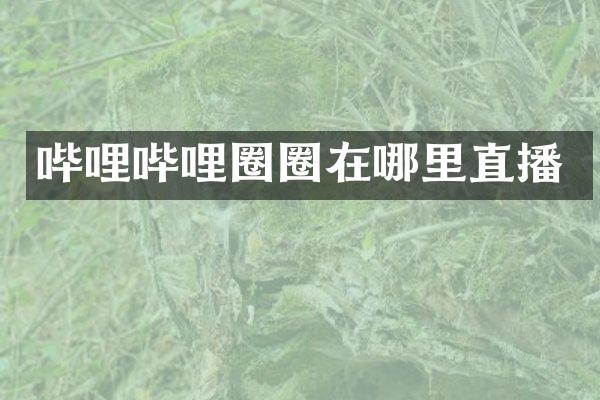 哔哩哔哩圈圈在哪里直播