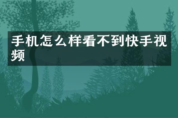 手机怎么样看不到快手视频