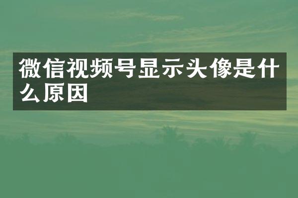 微信视频号显示头像是什么原因