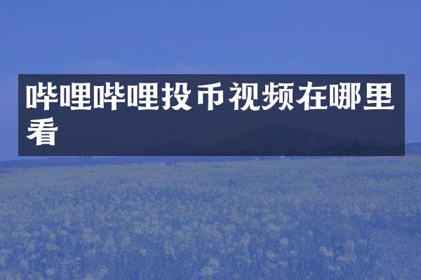 哔哩哔哩投币视频在哪里看