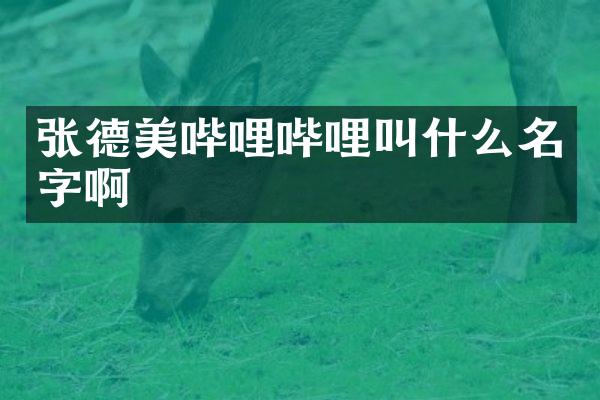张德美哔哩哔哩叫什么名字啊