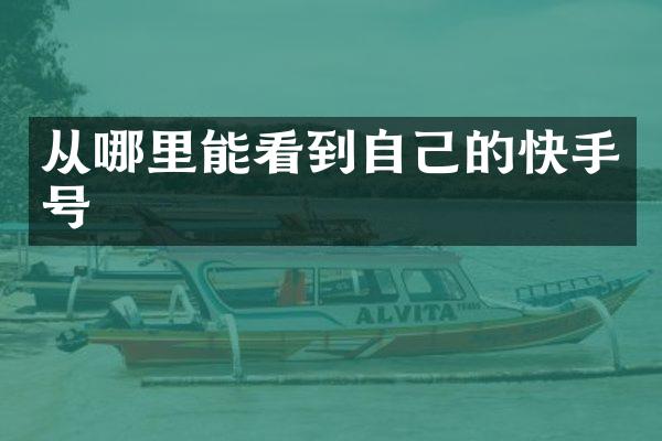 从哪里能看到自己的快手号