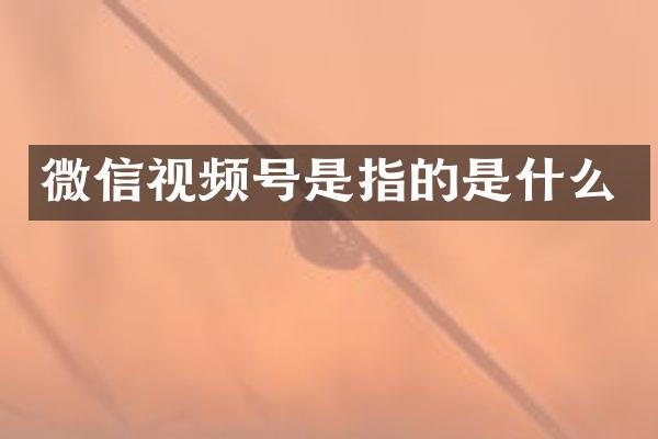 微信视频号是指的是什么