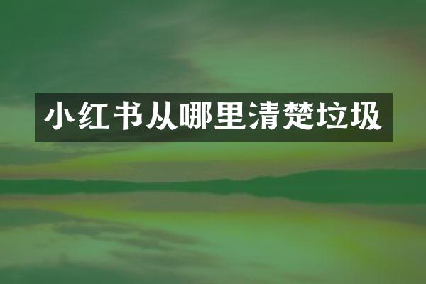 小红书从哪里清楚垃圾