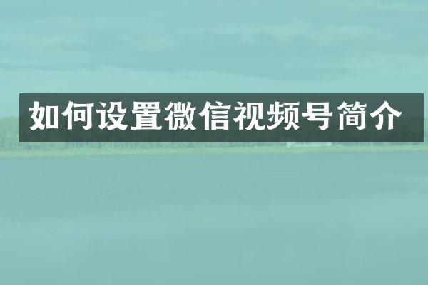 如何设置微信视频号简介