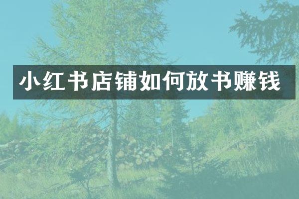小红书店铺如何放书赚钱