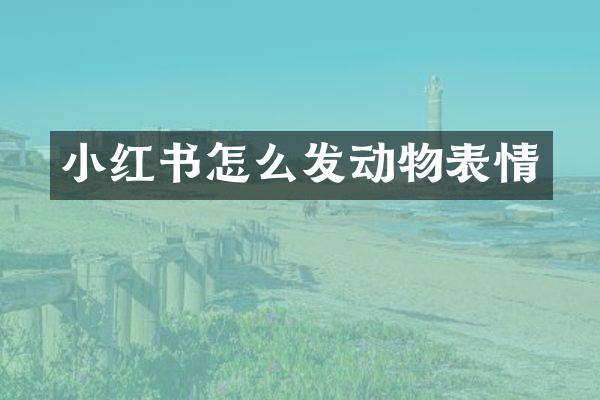 小红书怎么发动物表情