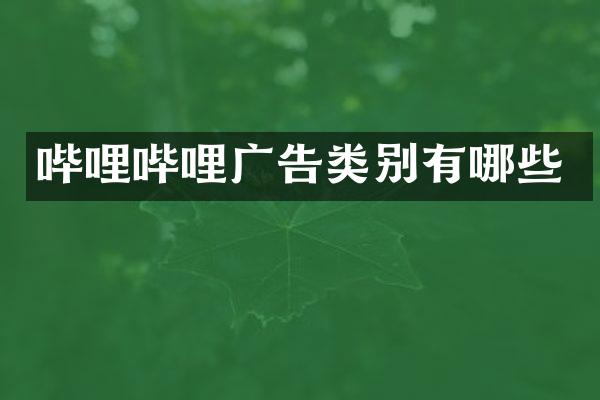 哔哩哔哩广告类别有哪些