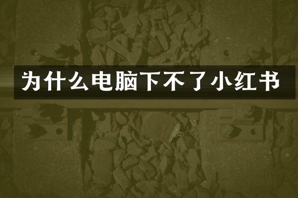 为什么电脑下不了小红书