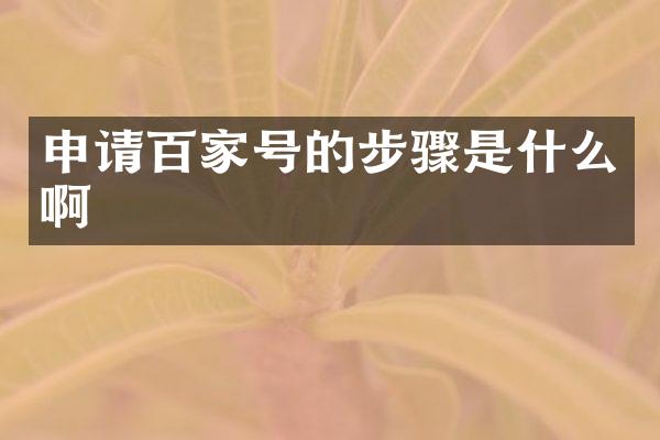 申请百家号的步骤是什么啊