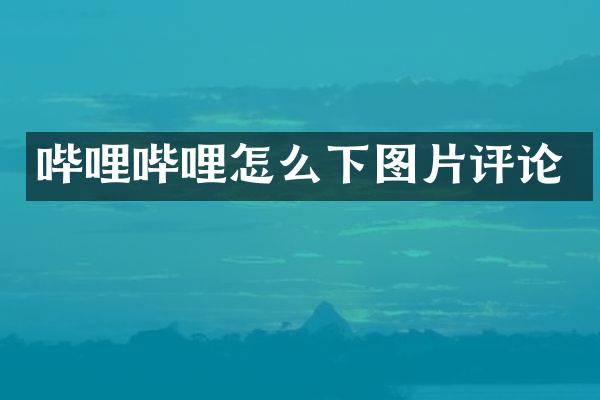 哔哩哔哩怎么下图片评论