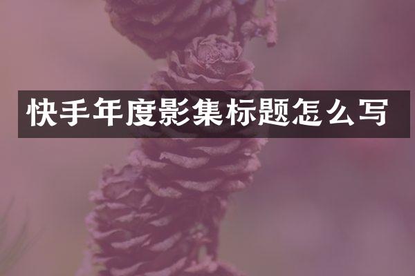 快手年度影集标题怎么写