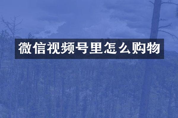 微信视频号里怎么购物
