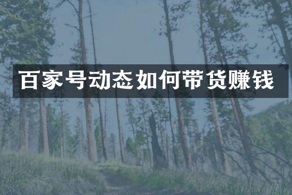 百家号动态如何带货赚钱
