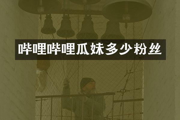 哔哩哔哩瓜妹多少粉丝