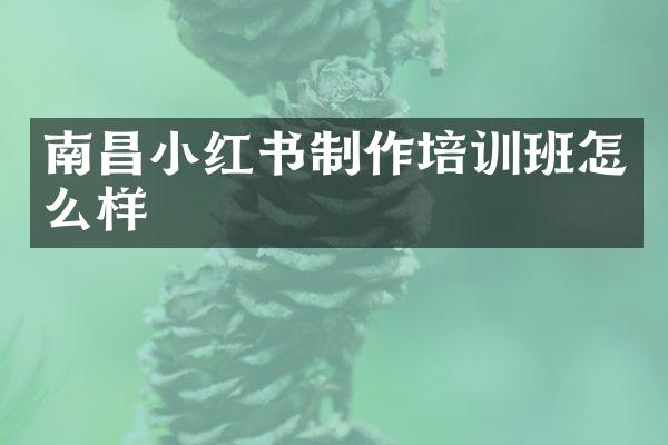 南昌小红书制作培训班怎么样