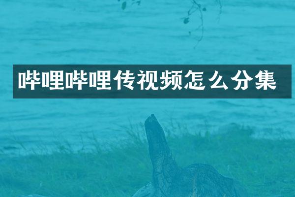 哔哩哔哩传视频怎么分集