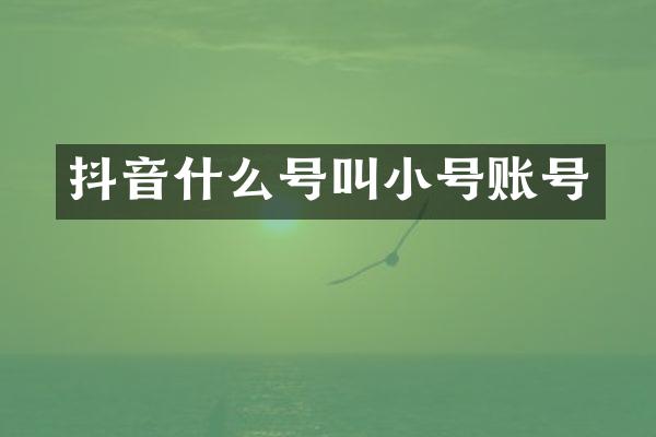 抖音什么号叫小号账号