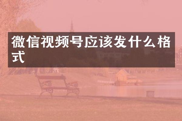 微信视频号应该发什么格式