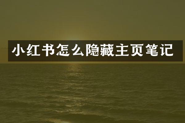 小红书怎么隐藏主页笔记