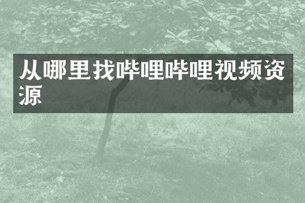 从哪里找哔哩哔哩视频资源