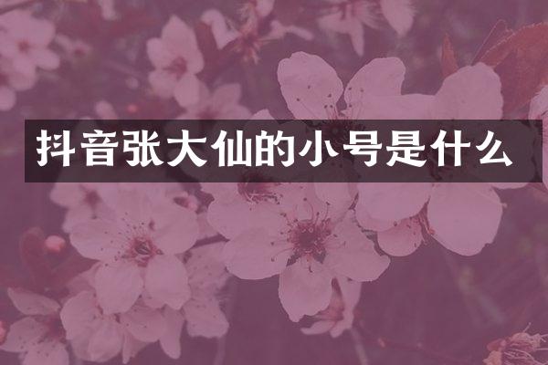 抖音张大仙的小号是什么
