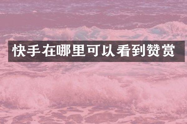 快手在哪里可以看到赞赏