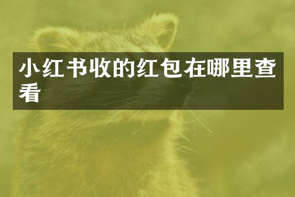 小红书收的红包在哪里查看