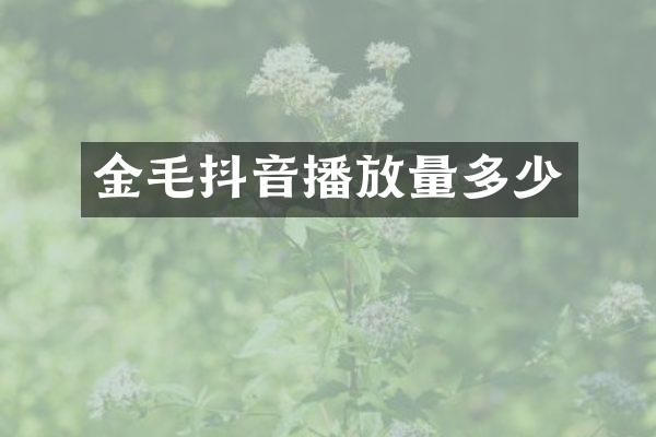 金毛抖音播放量多少