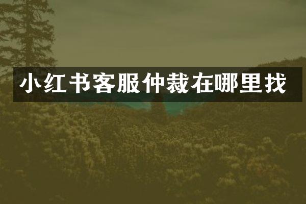 小红书客服仲裁在哪里找