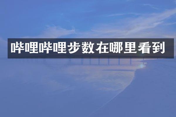 哔哩哔哩步数在哪里看到