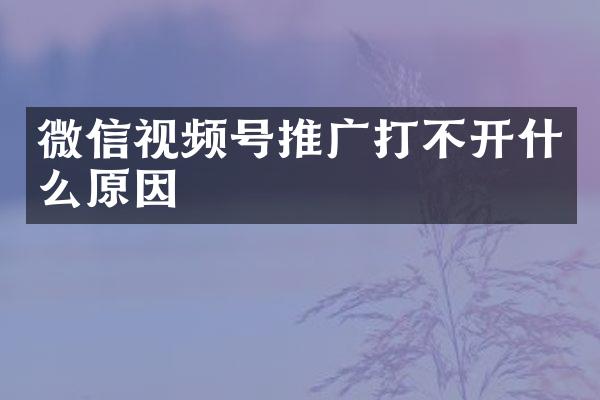 微信视频号推广打不开什么原因