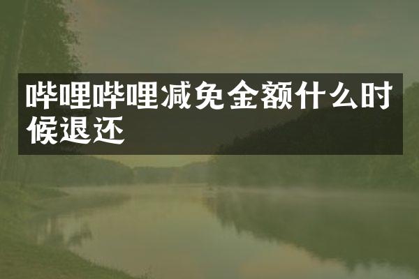 哔哩哔哩减免金额什么时候退还