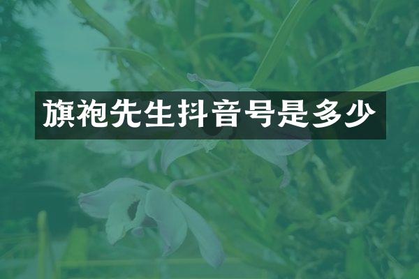 旗袍先生抖音号是多少