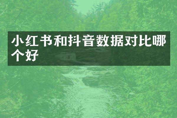 小红书和抖音数据对比哪个好