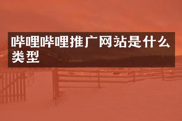 哔哩哔哩推广网站是什么类型