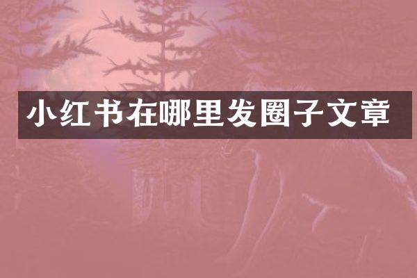 小红书在哪里发圈子文章