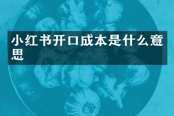 小红书开口成本是什么意思