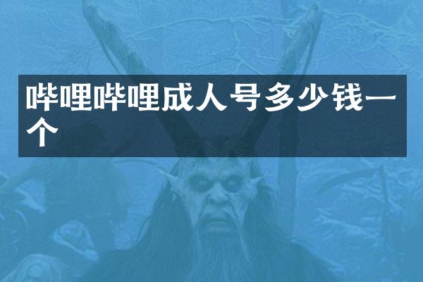 哔哩哔哩成人号多少钱一个