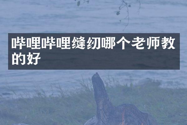 哔哩哔哩缝纫哪个老师教的好