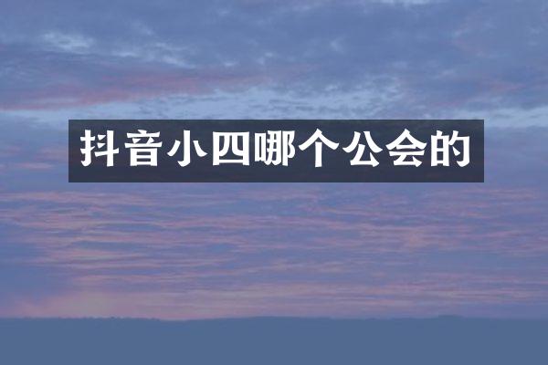 抖音小四哪个公会的