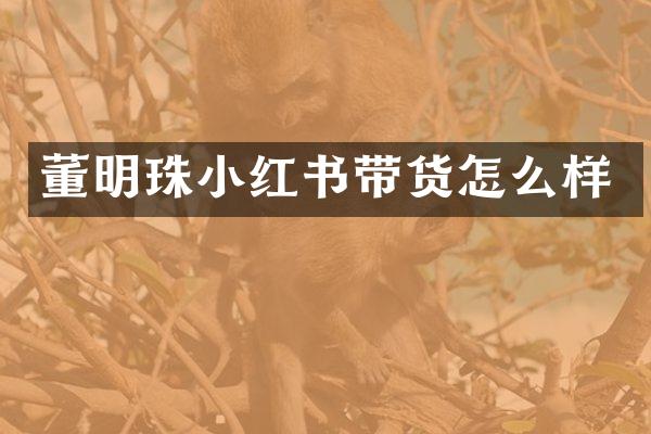 董明珠小红书带货怎么样
