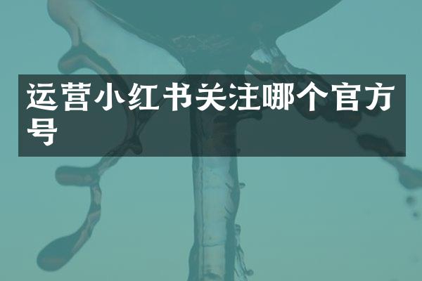 运营小红书关注哪个官方号