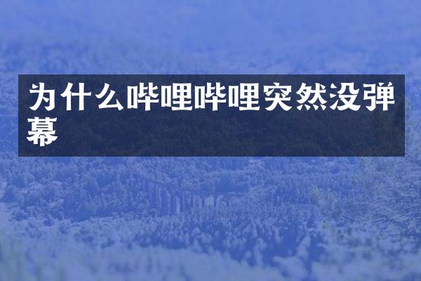 为什么哔哩哔哩突然没弹幕